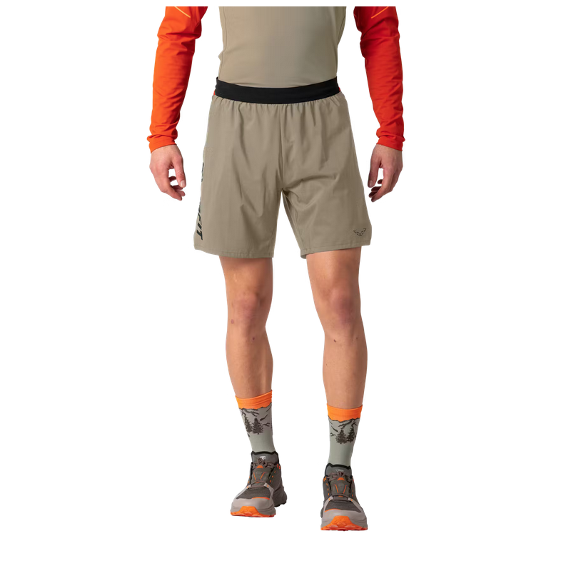 Dynafit Alpine Pro 1/2 Shorts M Fallen Rock